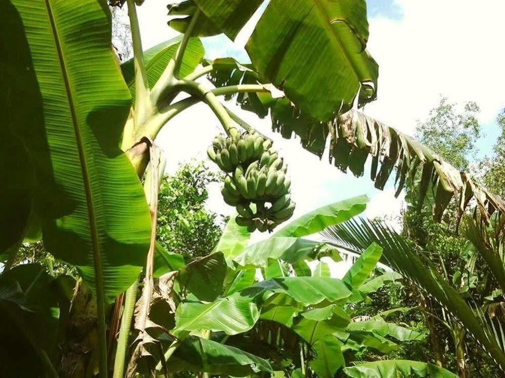 Green Village Homestay Cần Thơ Exterior foto